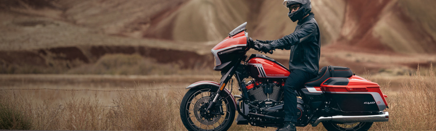Independent harley davidson service near me new arrivals